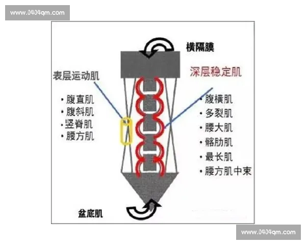 全面提升身体素质的多功能训练器材使用指南与实操技巧